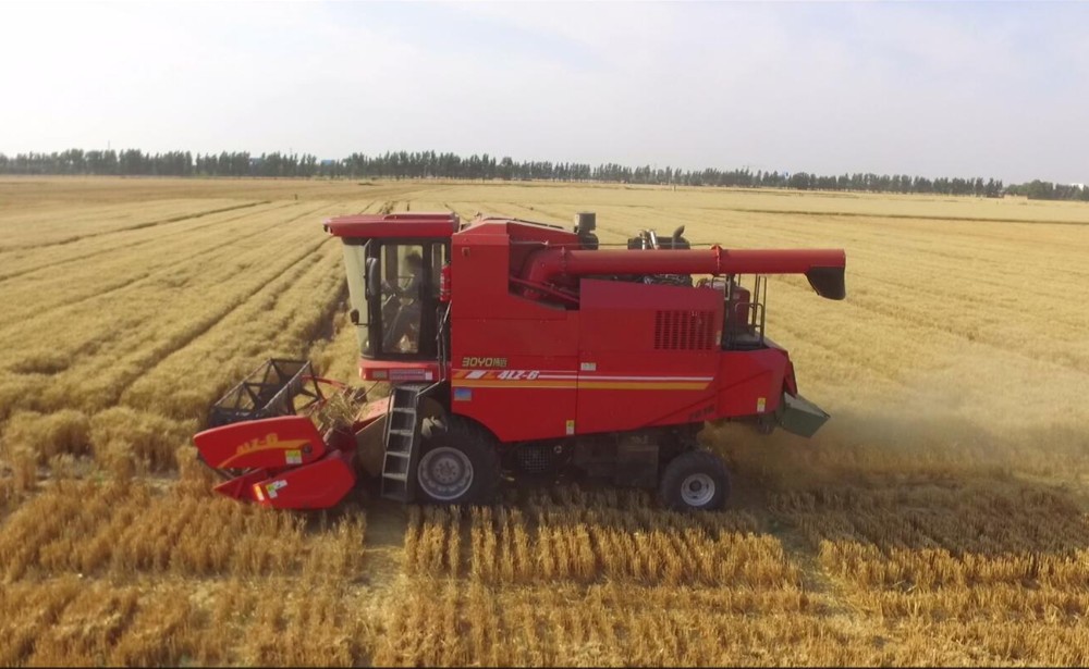 El rendimiento de la máquina del trigo de Xinjiang alcanza el 97,48%