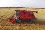 Урожайность пшеничной машины